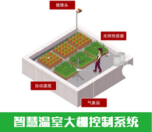 智慧農(nóng)業(yè)大棚