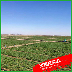 大田智能管理系統(tǒng)