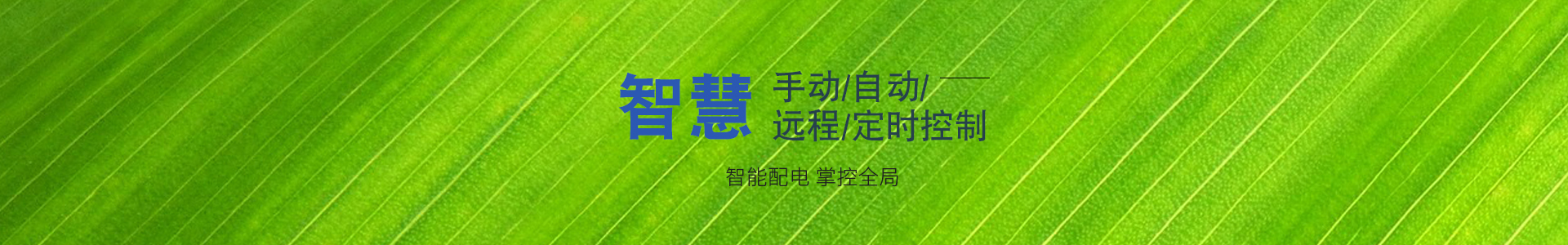 農產(chǎn)品質量安全