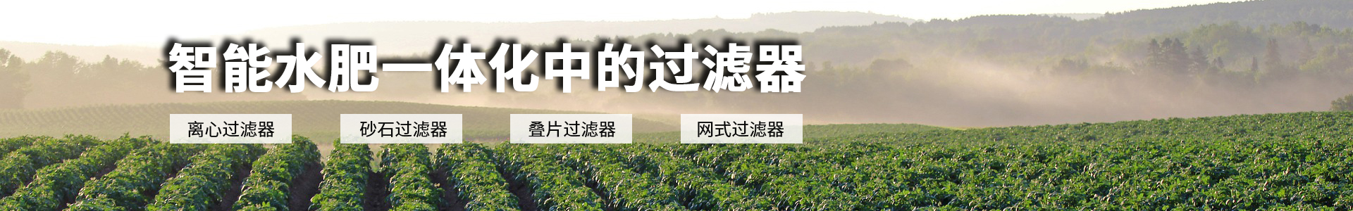 過濾器/電磁閥
