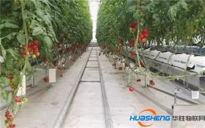 “植物工廠”成投資熱門，“智能農(nóng)業(yè)”成亮點(diǎn)