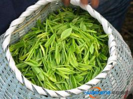 科技扶貧，黔江實(shí)施畝產(chǎn)萬元立體農(nóng)業(yè)行動(dòng)