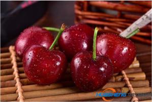 山東首次推行使用煙臺(tái)大櫻桃追溯系統(tǒng) 加強(qiáng)源頭保障
