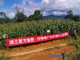 玉溪：以智慧農(nóng)業(yè)小鎮(zhèn)為依托，發(fā)展“互聯(lián)網(wǎng)+農(nóng)業(yè)”，打入國(guó)際高端化市場(chǎng)