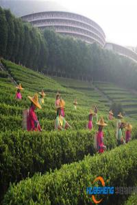 助力鄉(xiāng)村振興 消費(fèi)升級(jí)倒逼現(xiàn)代農(nóng)業(yè)產(chǎn)業(yè)生態(tài)鏈建設(shè)