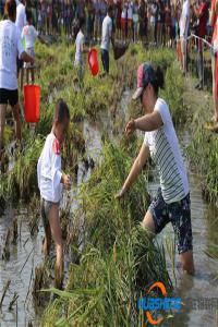 什么是分享農(nóng)業(yè)，分享農(nóng)業(yè)會給農(nóng)民帶來什么好處