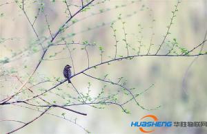 互聯(lián)網(wǎng)人這么讀2018中央一號文件