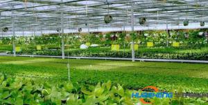 福建2017年省級農(nóng)業(yè)物聯(lián)網(wǎng)示范點名單，有你家鄉(xiāng)的嗎？