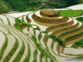 山區(qū)農業(yè)大智慧 機器上山顯神通