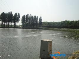 物聯(lián)網(wǎng)養(yǎng)魚，小水面有了大產(chǎn)出