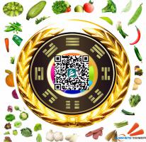 二維碼一掃，便知蔬果前世今生