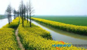 農(nóng)業(yè)綜合開發(fā)奏響現(xiàn)代農(nóng)業(yè)希望之歌