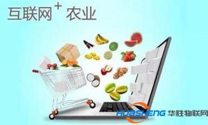 互聯(lián)網(wǎng)＋農(nóng)業(yè)方案出臺(tái) 涉農(nóng)電商迎機(jī)遇