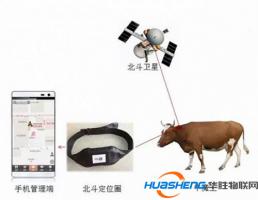 日暮牛羊自可歸，北斗導(dǎo)航助力遠(yuǎn)程放牧