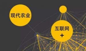 大力發(fā)展“互聯(lián)網(wǎng)+農(nóng)業(yè)” 提升農(nóng)業(yè)生產(chǎn)效益