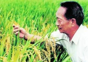 啟動(dòng)“智慧新農(nóng)人”培育工程，助力智慧農(nóng)業(yè)發(fā)展