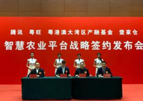 重磅！騰訊布局農(nóng)業(yè)產(chǎn)業(yè)互聯(lián)網(wǎng)，首個(gè)智慧農(nóng)業(yè)項(xiàng)目簽約落地