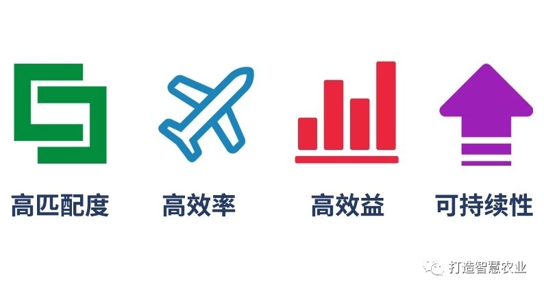 看中國農(nóng)業(yè)邁向現(xiàn)代化的70年