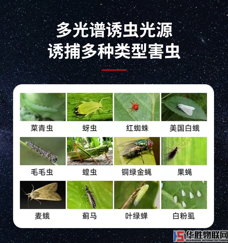 風(fēng)吸式殺蟲(chóng)燈_05.jpg