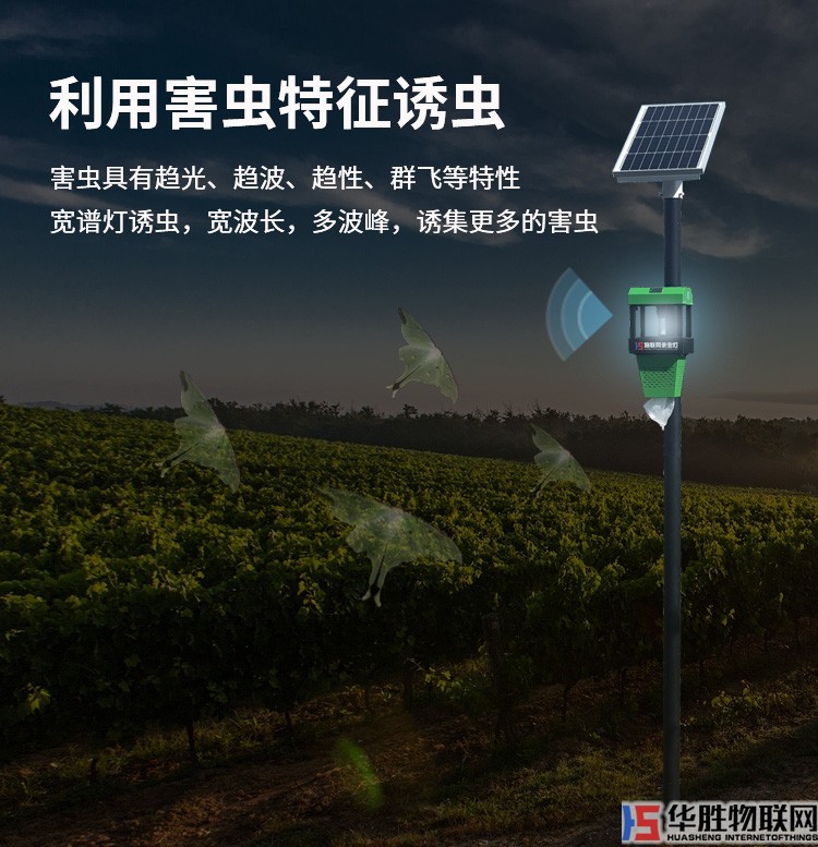 風(fēng)吸式殺蟲(chóng)燈_08.jpg
